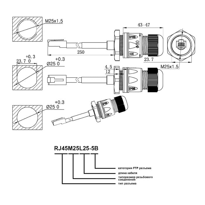 Миниатюра: Схема RJ45M25L25-5B