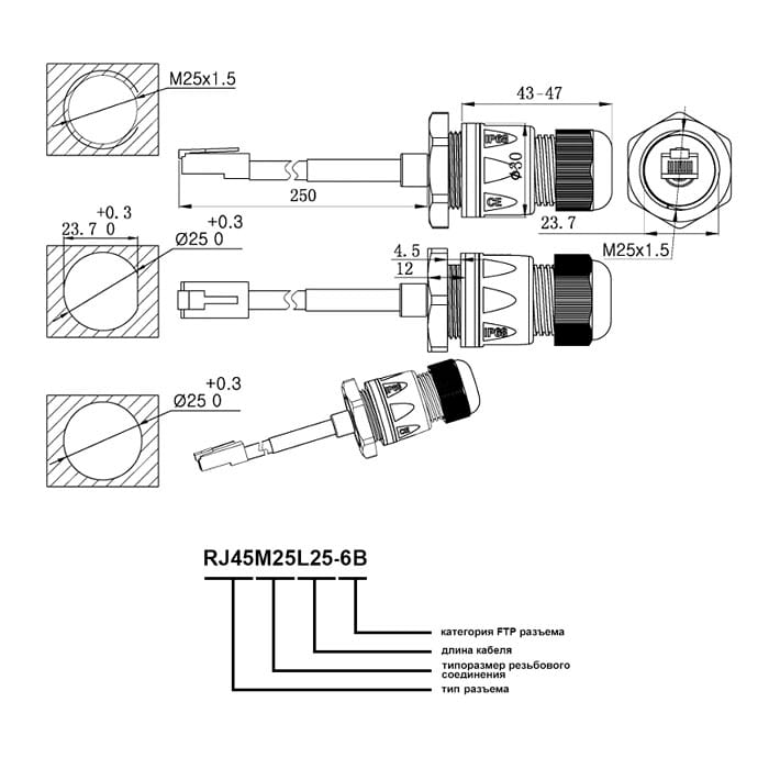 Миниатюра: Схема RJ45M25L25-6B