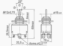Миниатюра: Схема П2Т-10